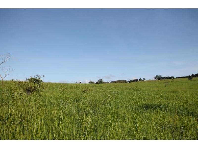 Lake Eacham QLD 4884