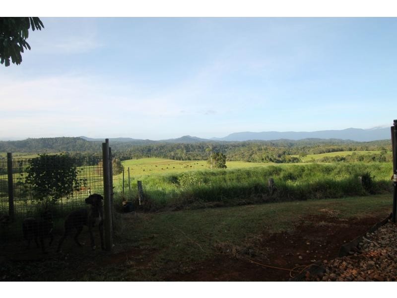 Lake Eacham QLD 4884