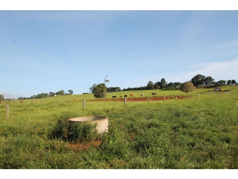 Lake Eacham QLD 4884