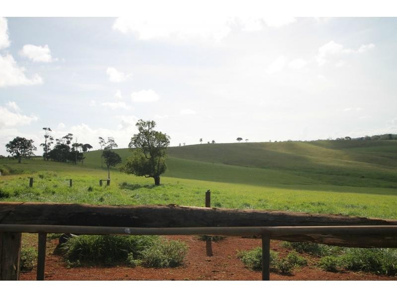 Lake Eacham QLD 4884