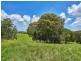 Lot 11 55 Adams Road, Yungaburra QLD 4884