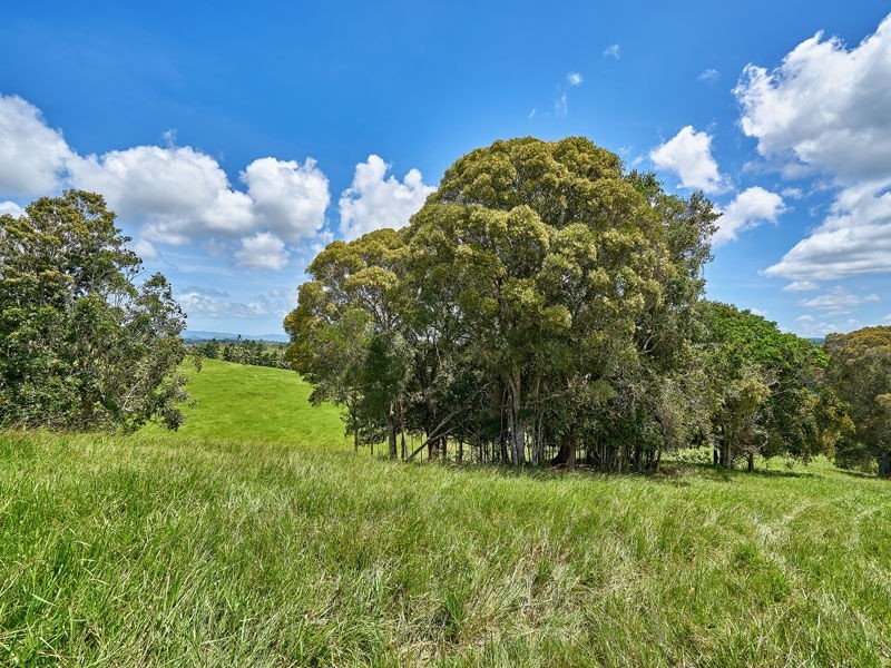 Lot 11 55 Adams Road, Yungaburra QLD 4884