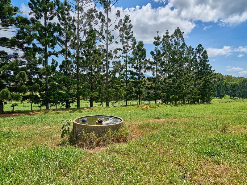 Lot 11 55 Adams Road, Yungaburra QLD 4884