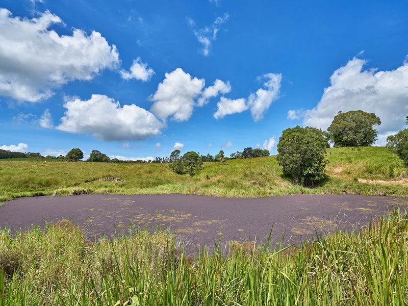 Lot 14 55 Adams Road, Yungaburra QLD 4884