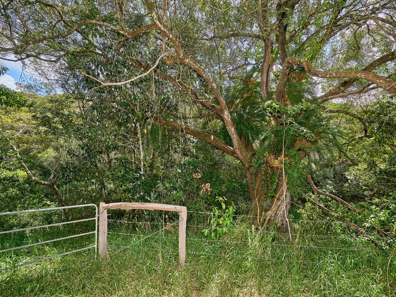 Lot 14 55 Adams Road, Yungaburra QLD 4884