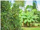 Malanda QLD 4885