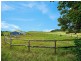 Tarzali QLD 4885