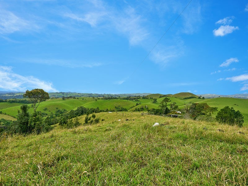 Tarzali QLD 4885