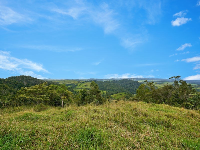 Tarzali QLD 4885