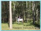 Lot 12 242 Lloyd Road, Yungaburra QLD 4884