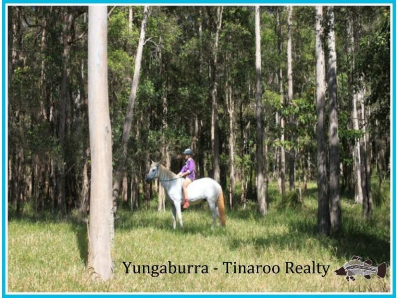 Lot 12 242 Lloyd Road, Yungaburra QLD 4884