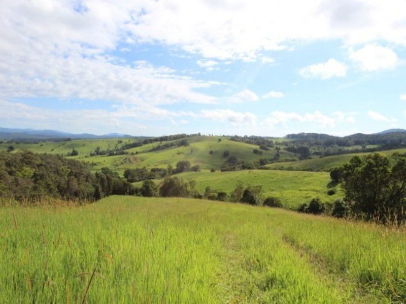 Lot 12 242 Lloyd Road, Yungaburra QLD 4884
