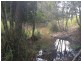 Lot 12 242 Lloyd Road, Yungaburra QLD 4884