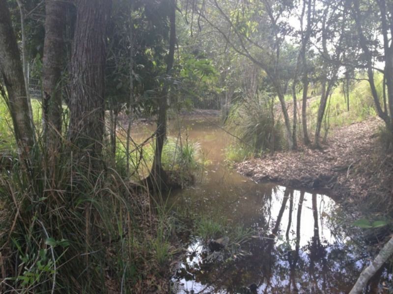 Lot 12 242 Lloyd Road, Yungaburra QLD 4884