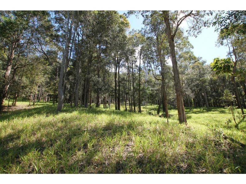 Lot 12 242 Lloyd Road, Yungaburra QLD 4884
