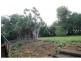 Yungaburra QLD 4884