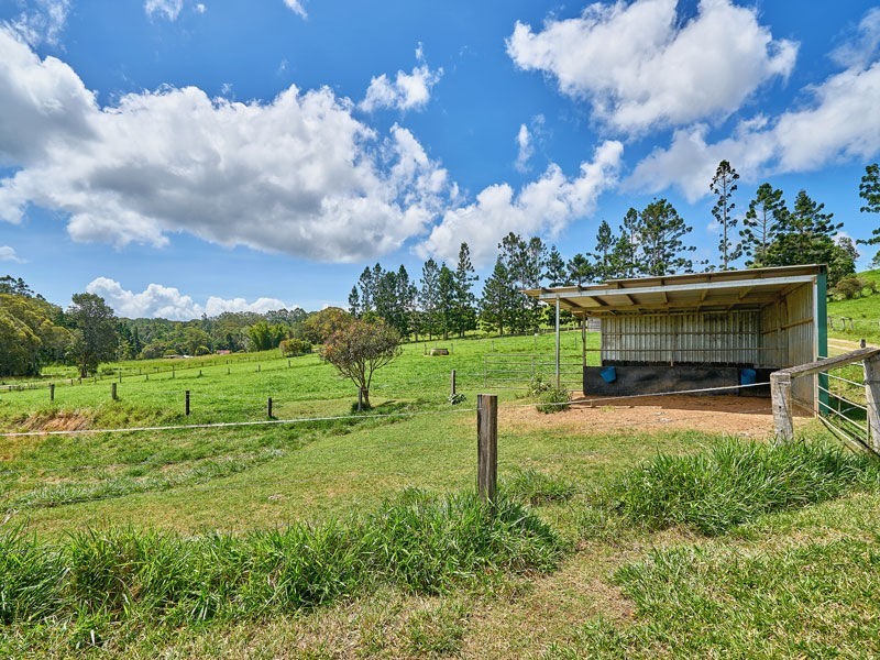 Yungaburra QLD 4884