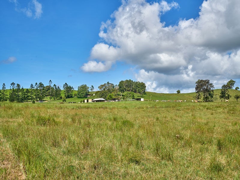 Yungaburra QLD 4884