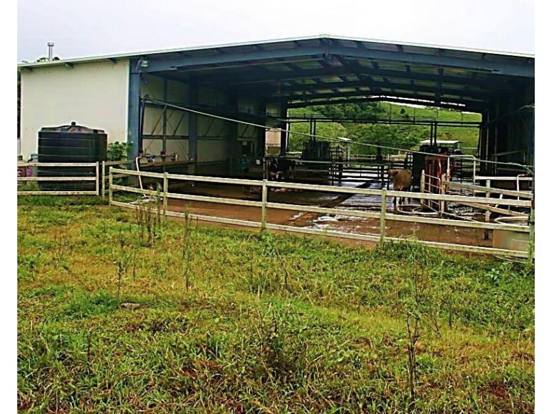 Millaa Millaa QLD 4886