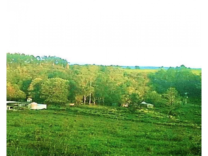 Millaa Millaa QLD 4886