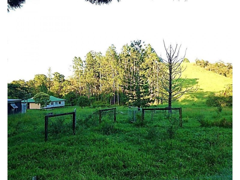 Millaa Millaa QLD 4886