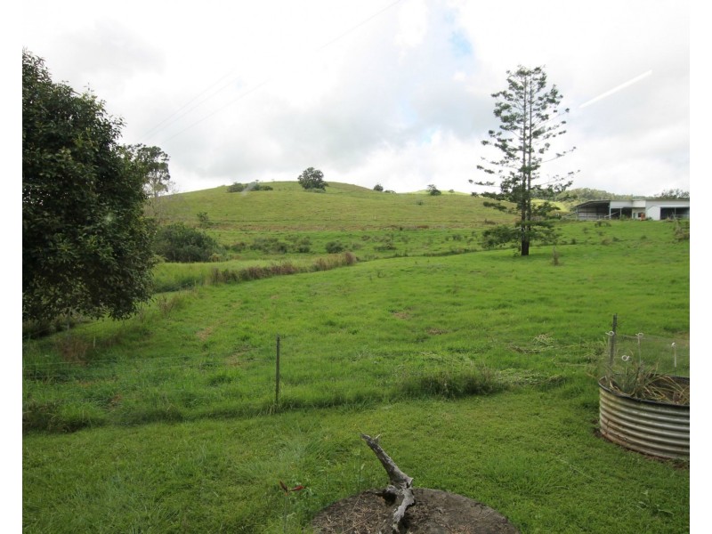 Millaa Millaa QLD 4886