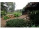 Atherton QLD 4883