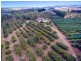 Tolga QLD 4882