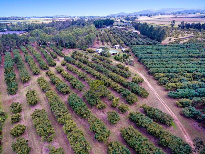 Tolga QLD 4882