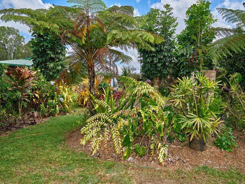 Tolga QLD 4882