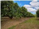 Tolga QLD 4882