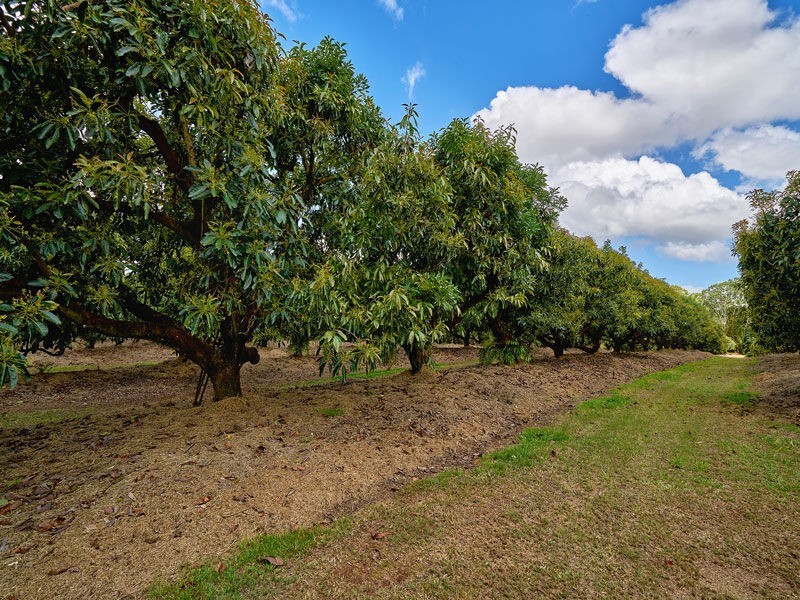 Tolga QLD 4882