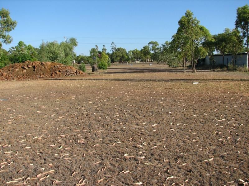 L1 Gulf Developmental Road, Mount Surprise QLD 4871