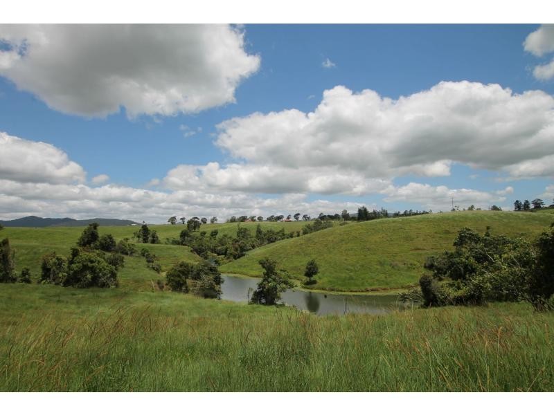 Millaa Millaa QLD 4886