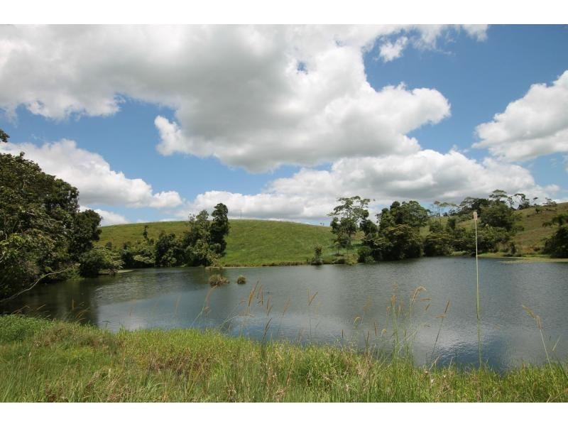 Millaa Millaa QLD 4886