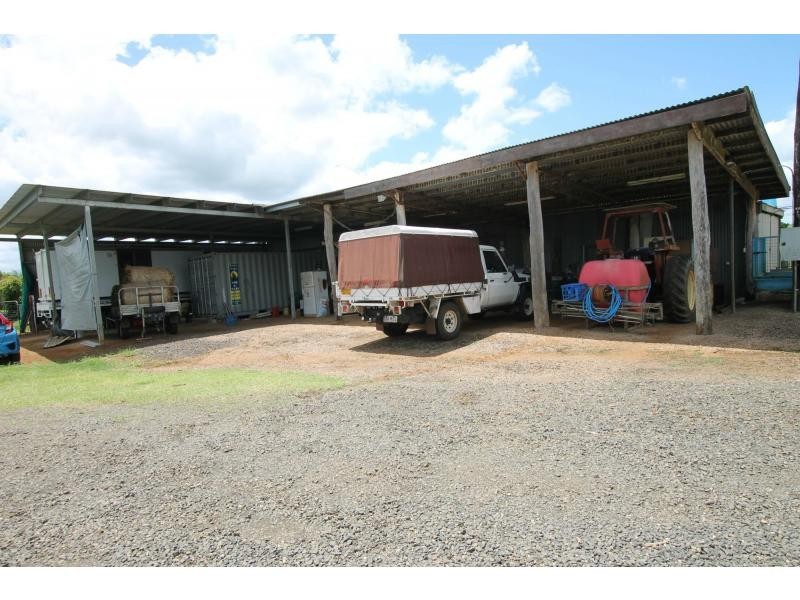 Millaa Millaa QLD 4886