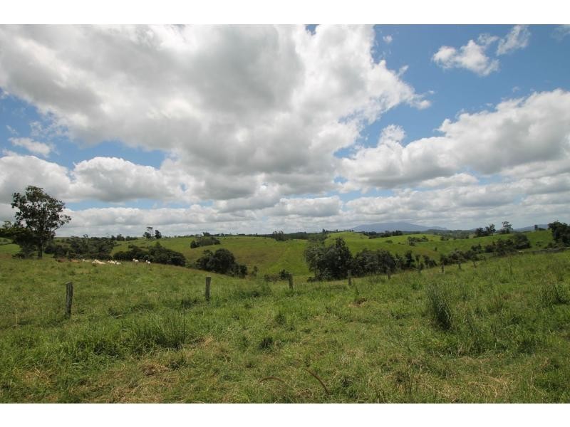 Millaa Millaa QLD 4886