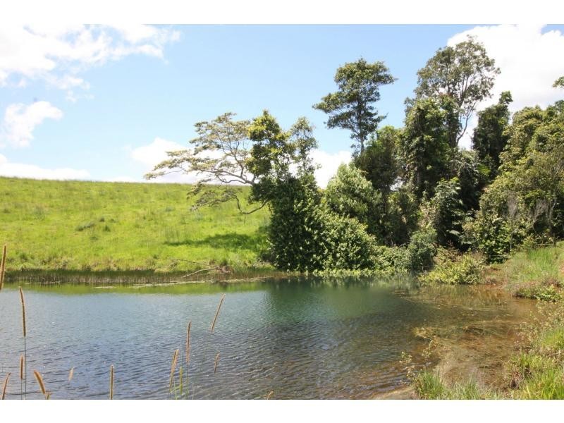 Millaa Millaa QLD 4886