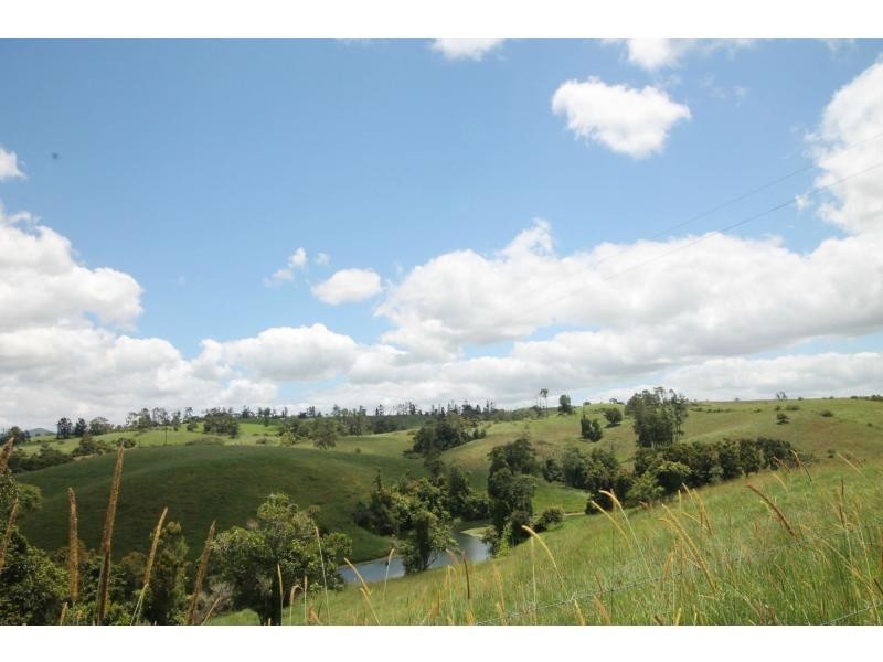 Millaa Millaa QLD 4886