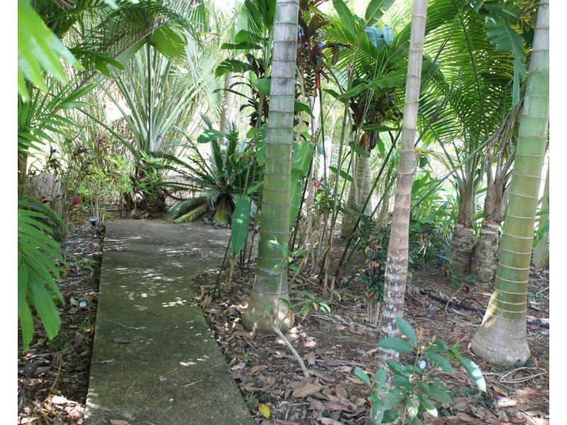 Upper Barron QLD 4883