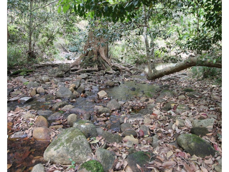 Upper Barron QLD 4883