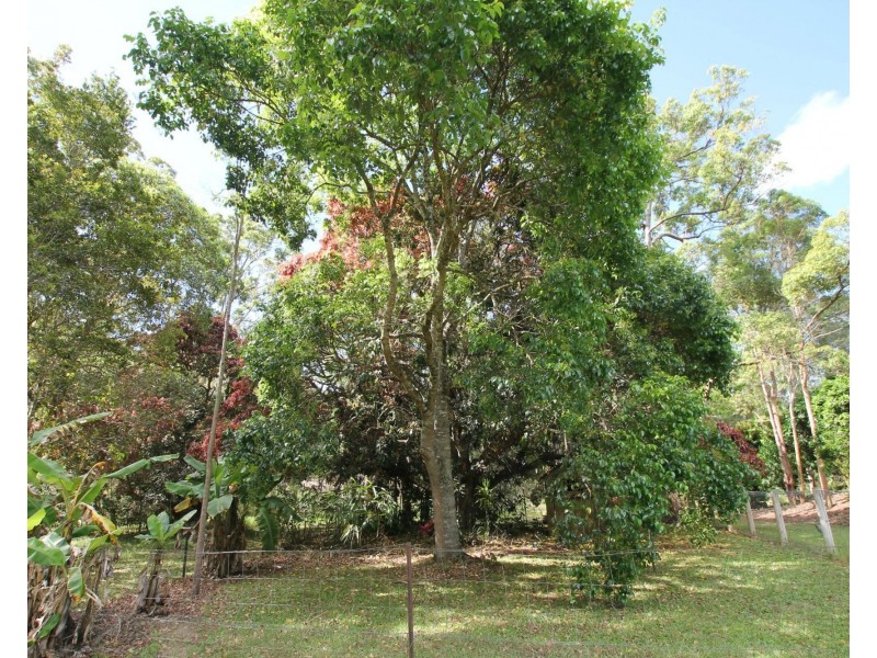 Upper Barron QLD 4883