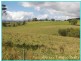 4 Lloyd Road, Yungaburra QLD 4884
