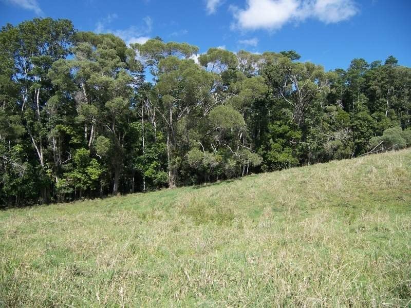4 Lloyd Road, Yungaburra QLD 4884