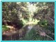80 Jallard Road, Yungaburra QLD 4884