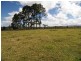 80 Jallard Road, Yungaburra QLD 4884