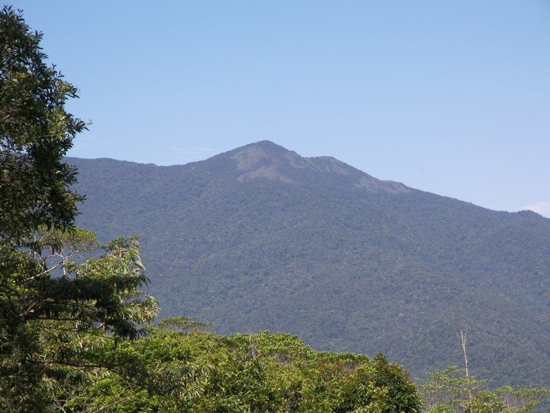 1 Old Boonjie Road, Topaz QLD 4885