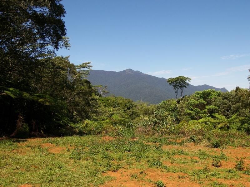 1 Old Boonjie Road, Topaz QLD 4885