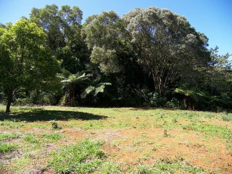 1 Old Boonjie Road, Topaz QLD 4885