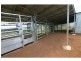 Malanda QLD 4885
